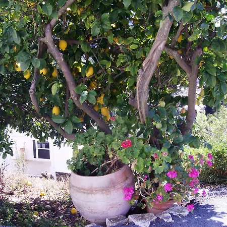 Panorama アパートホテル アギオス・ゴルディオス