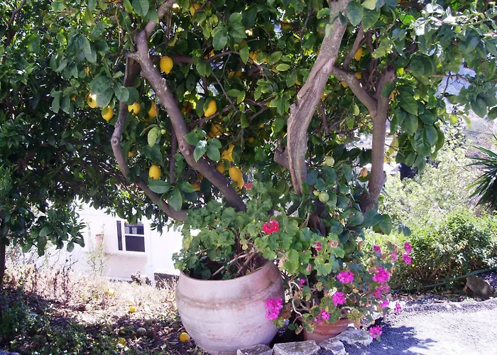 Panorama Hotel apartamentowy Agios Gordios (Corfu)